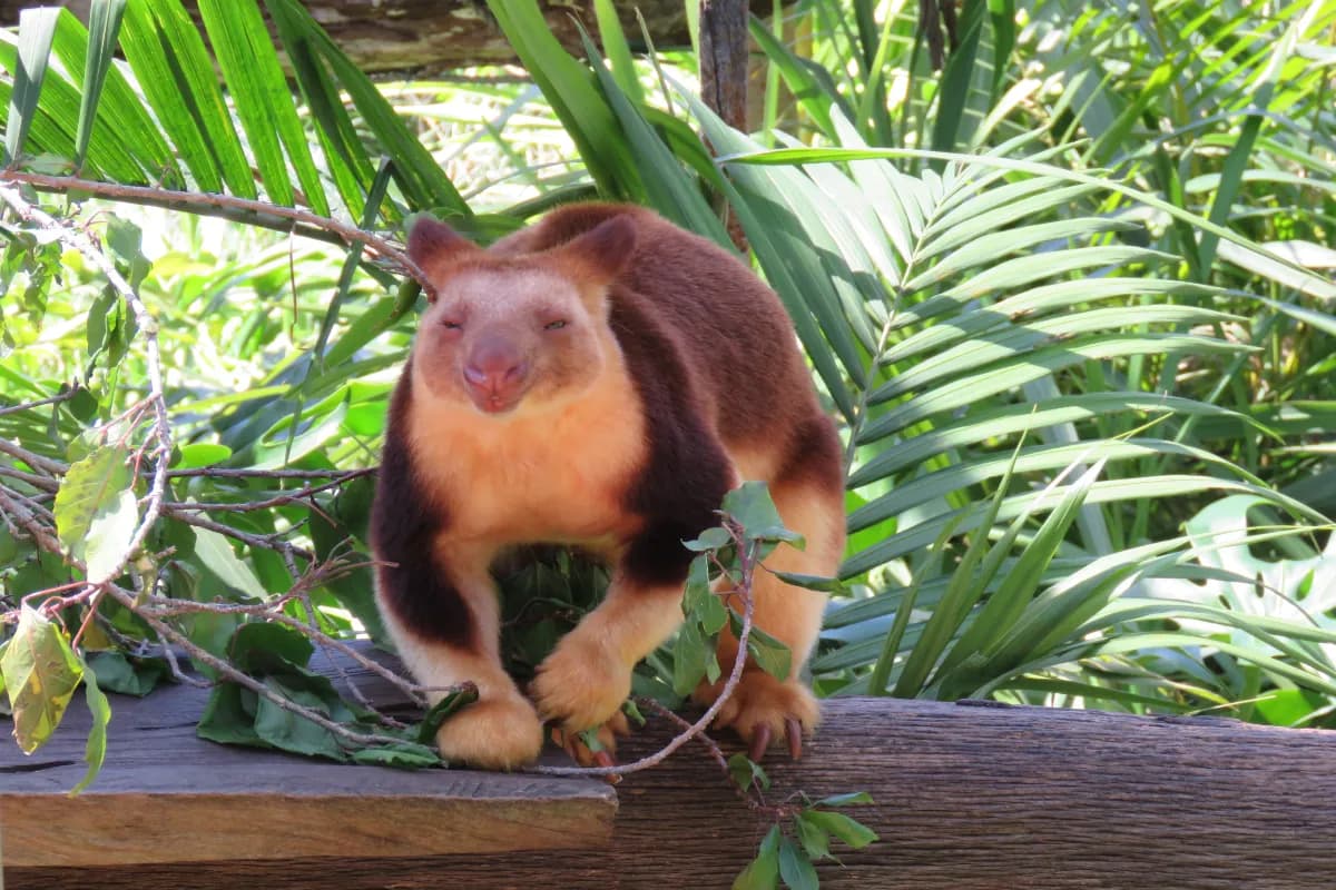 Caversham Wildlife Park