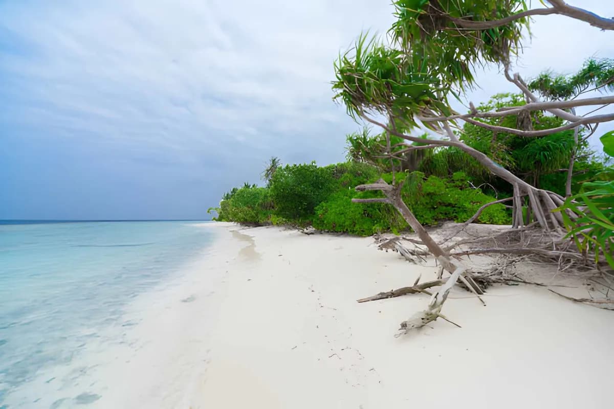Vaadhoo
