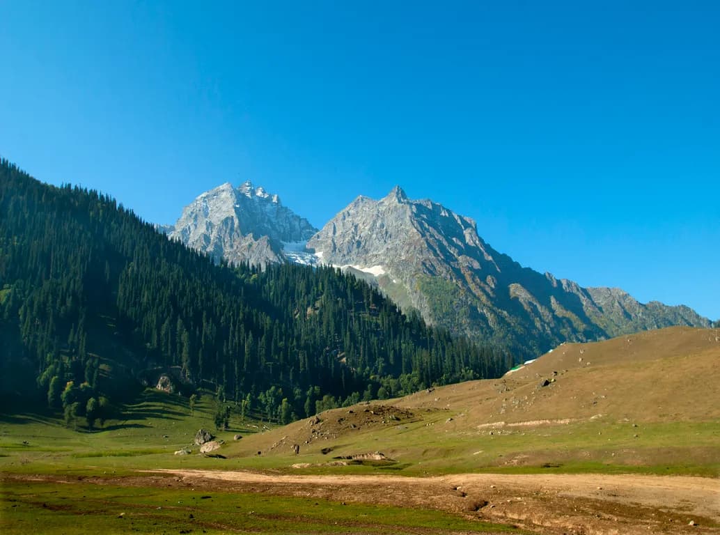 Jannat-e-Kashmir - Srinagar, Gulmarg & Pahalgam Tour