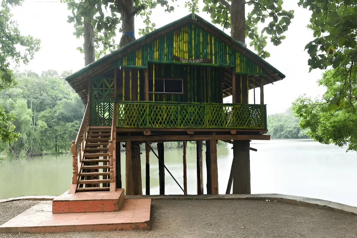 Wayanad Wildlife Sanctuary