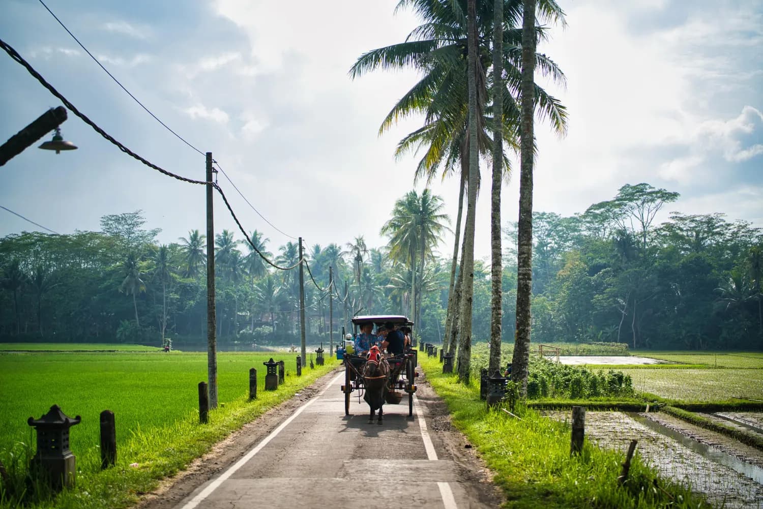 Kerala Charm & Calm with Priva