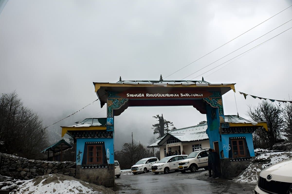 Shingba Rhododendron Sanctuary