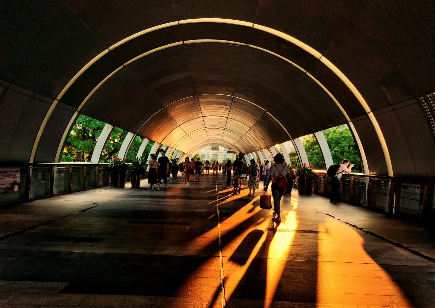 Luxurious Dubai | Sky-High Views & Starry Nights