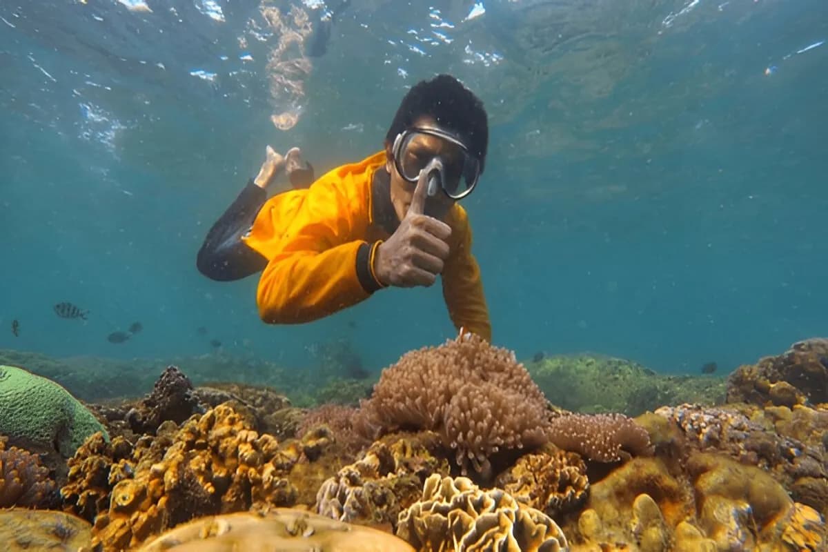 Scuba Diving in Lakshadweep