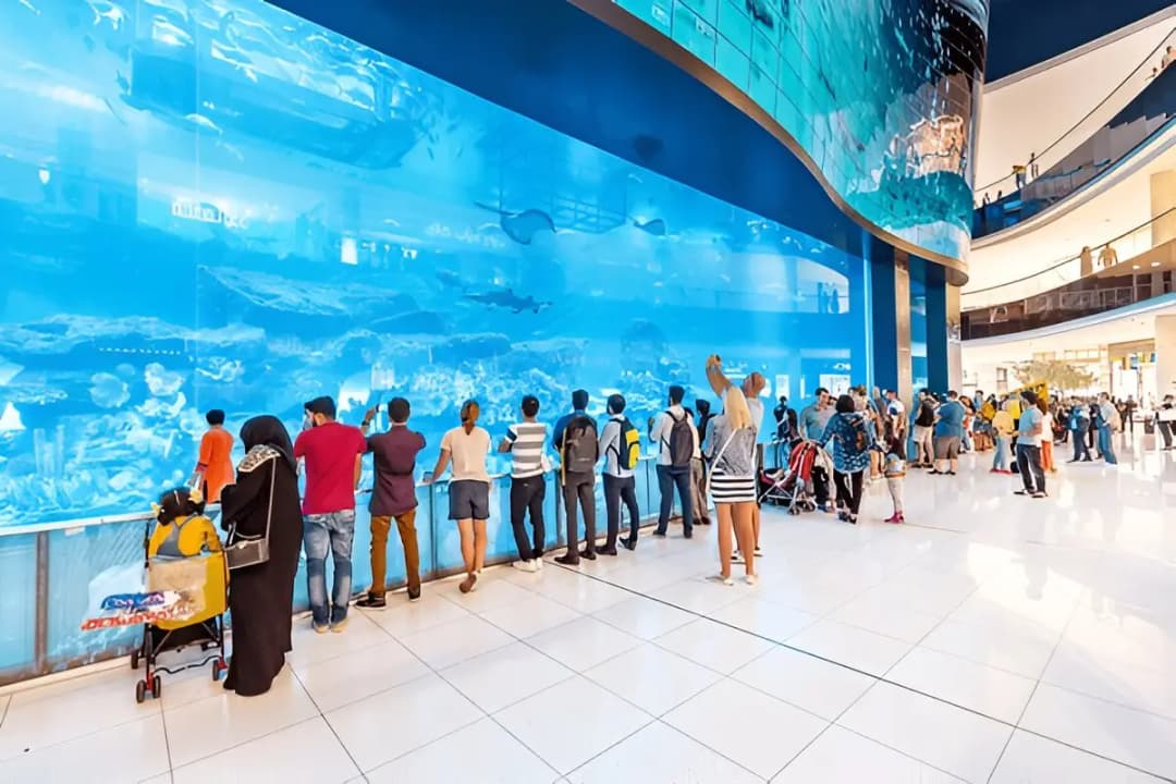 Underwater Zoo