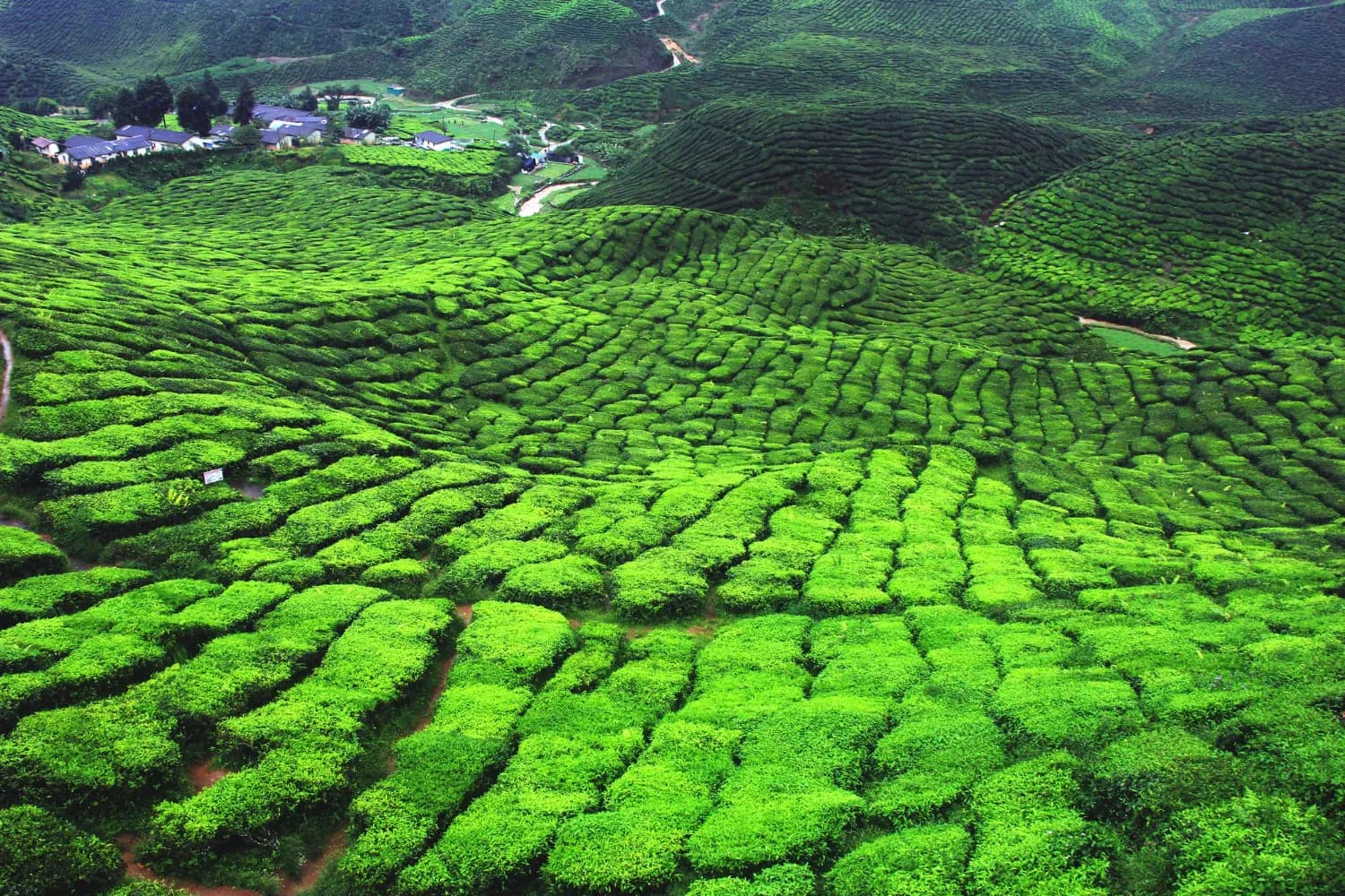 Marvels of Kerala with Alappuzha Beach