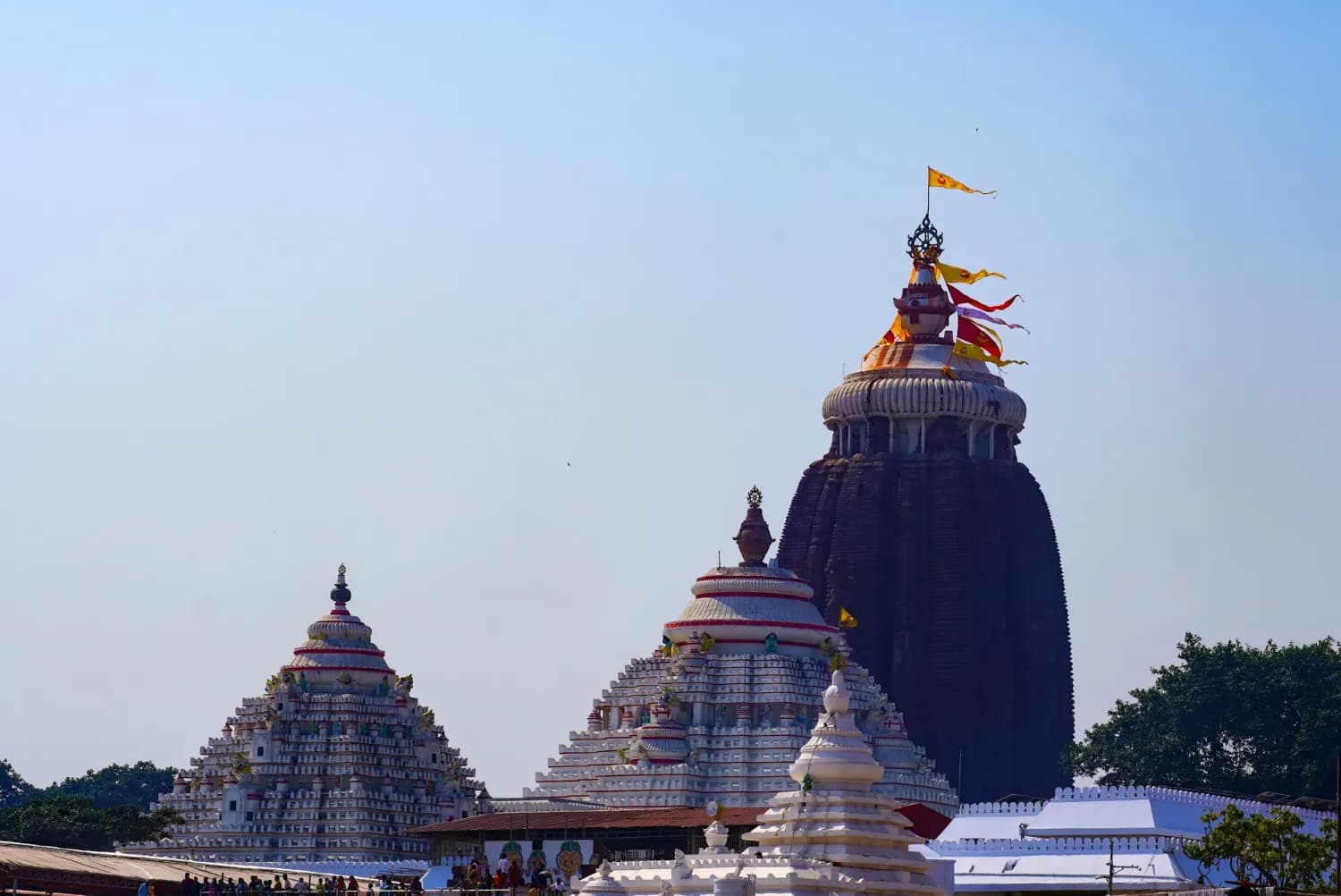 Weekend trip to Puri - Jagannath Temple & Golden Beach