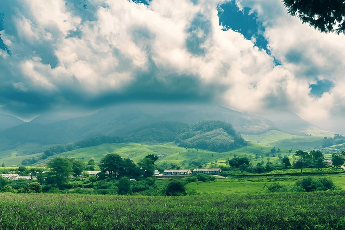 Assam and Meghalaya