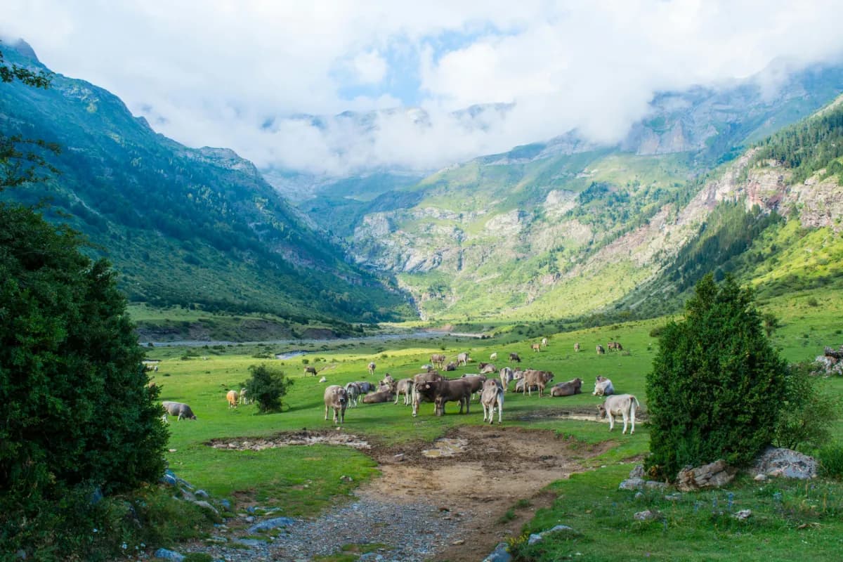 Betaab Valley
