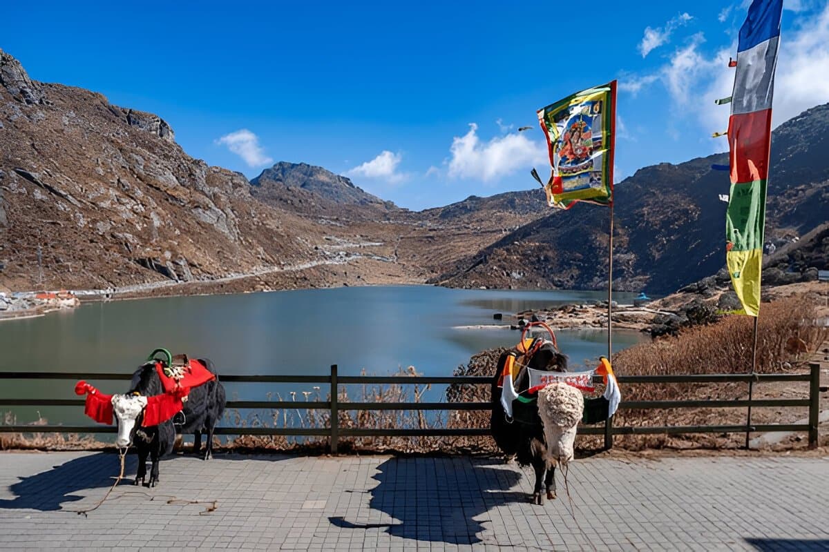 Tsomgo Lake In June - eSikkim TourismTsomgo Lake
