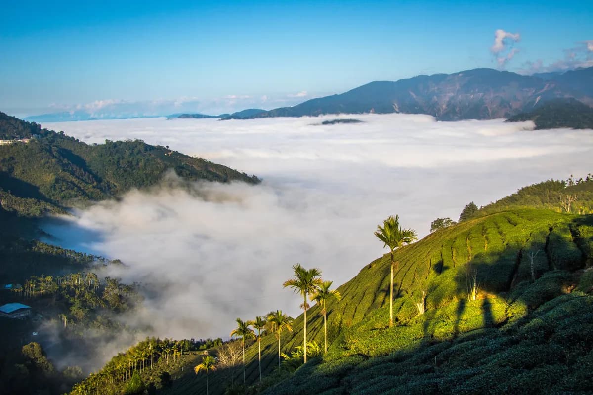 Mount Batur Bali