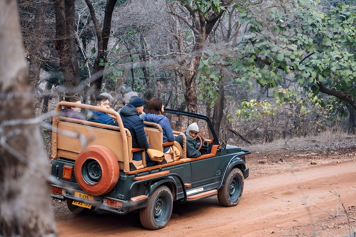 Short Trip to Ranthambore