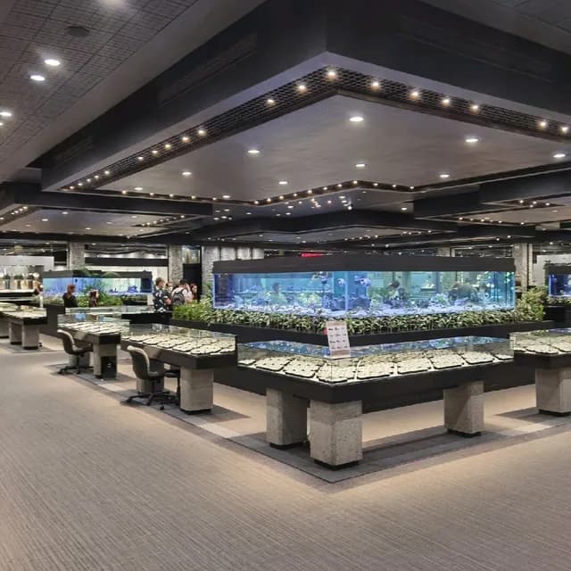 Gems Gallery International Manufacturer