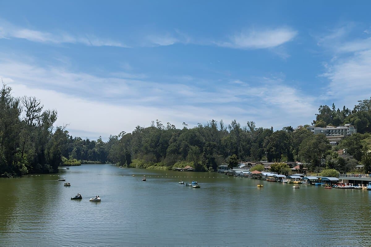 OOty