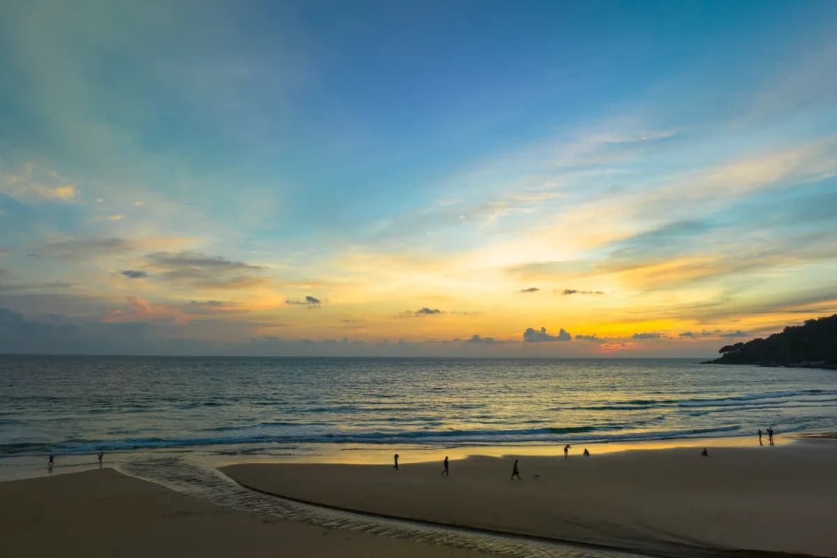 Image of Sunset in the swamp next to the beach