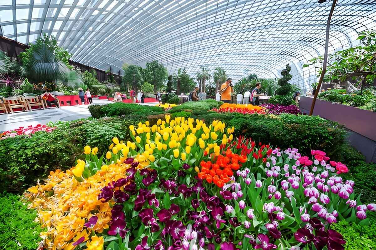 Flower Dome