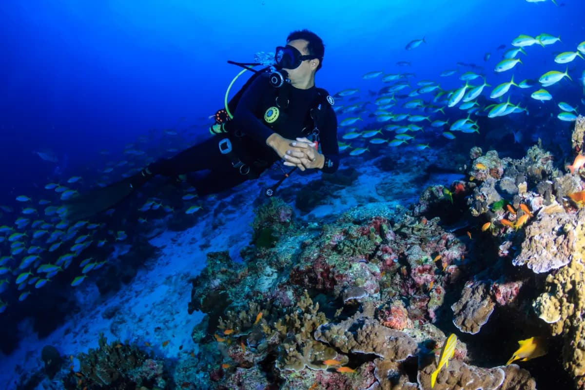 Scuba Diving in Goa