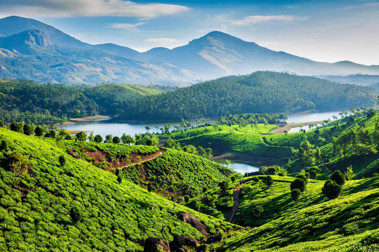 Kerala Dream Holiday