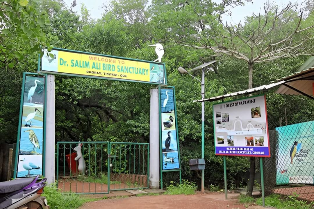 Salim Ali Bird Sanctuary