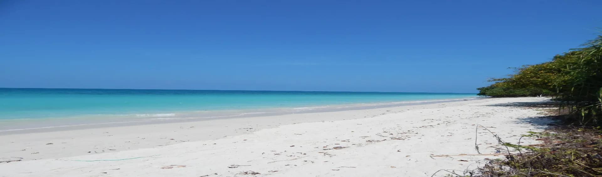 10 Andaman and Nicobar Beaches Worth Your Time