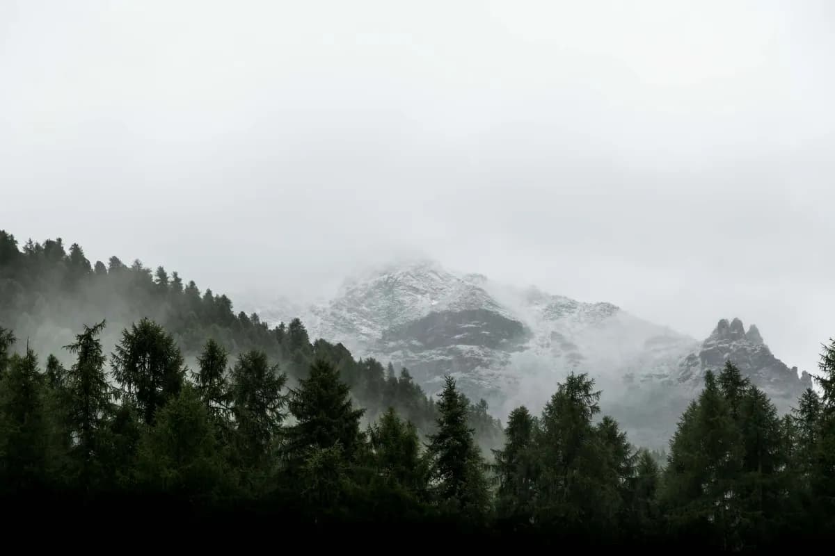 misty mountains