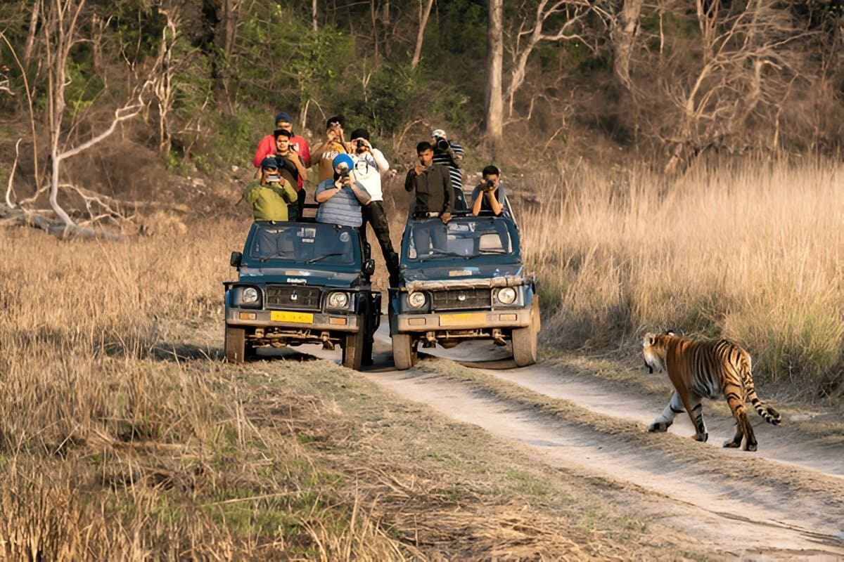 jim corbett national park