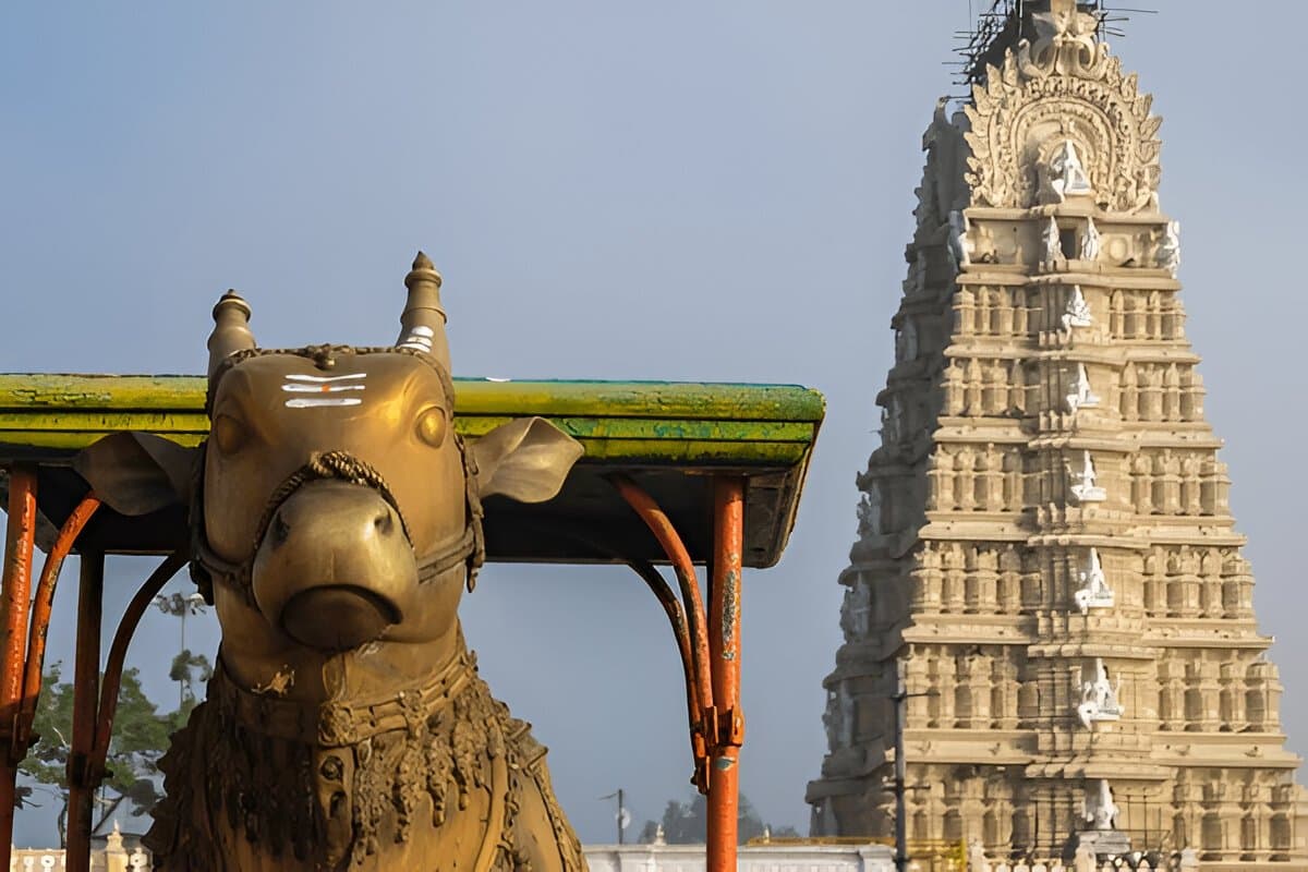Mysore