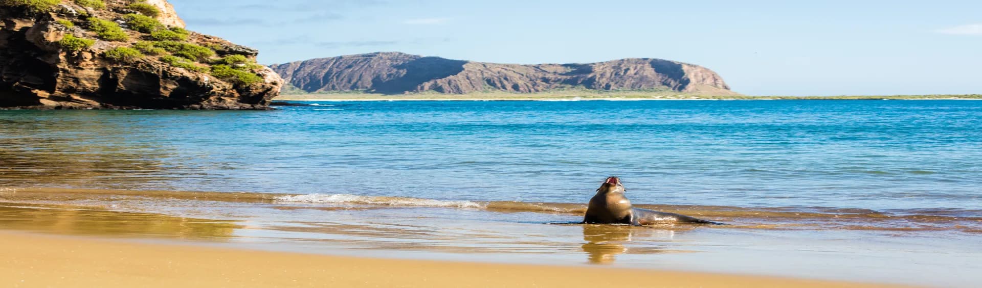 Georgia Islands Guide: Best Beaches, Resorts & Things to Do
