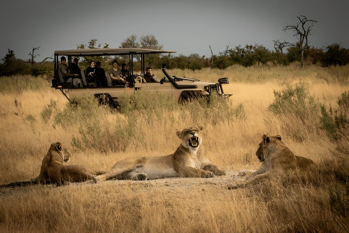 Adventurous Ranthambore and Bharatpur