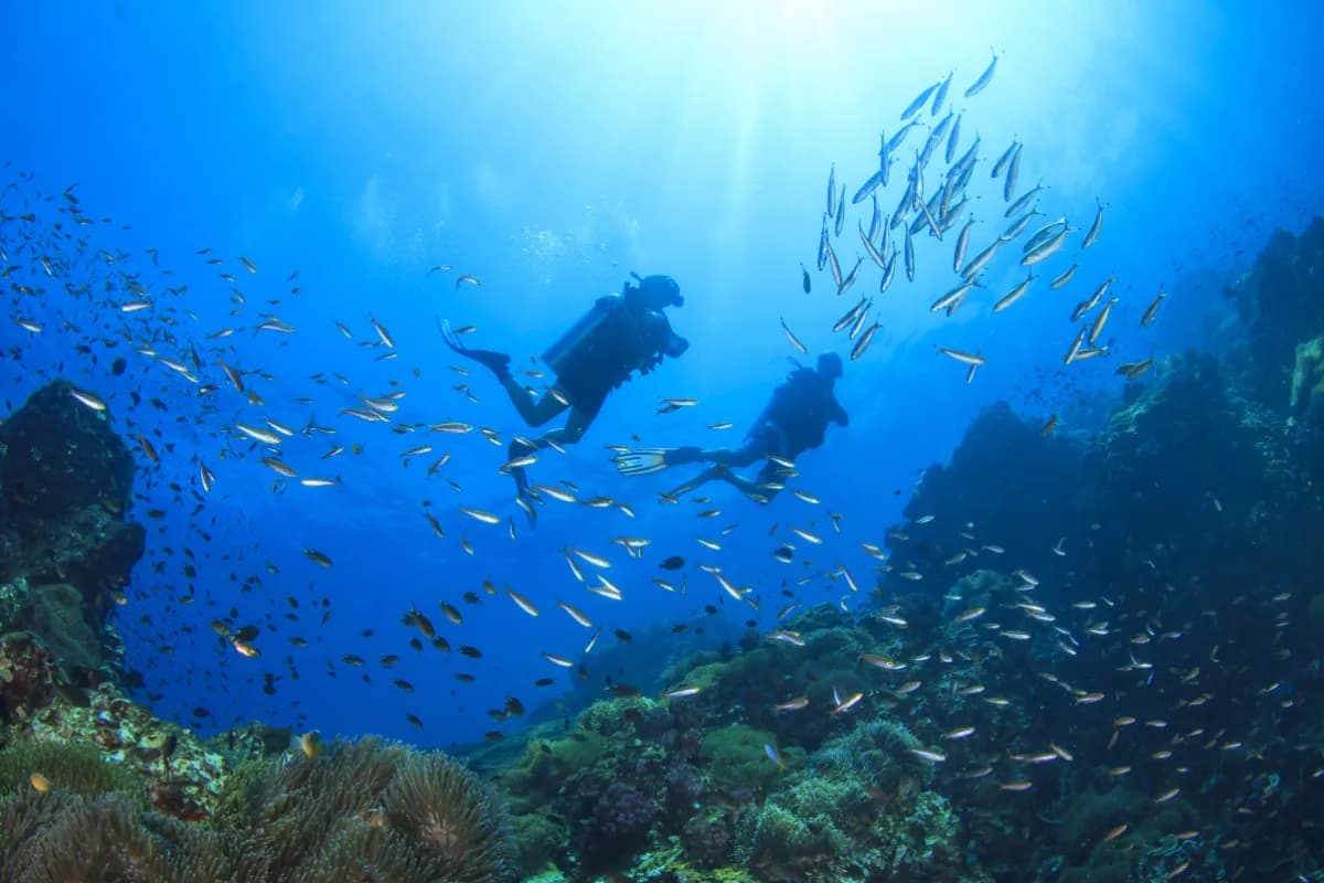 Scuba Diving in Goa