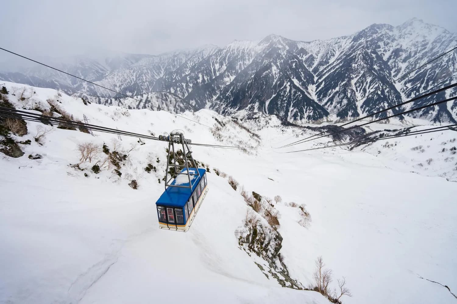 Essence of Srinagar Gulmarg and Pahalgam