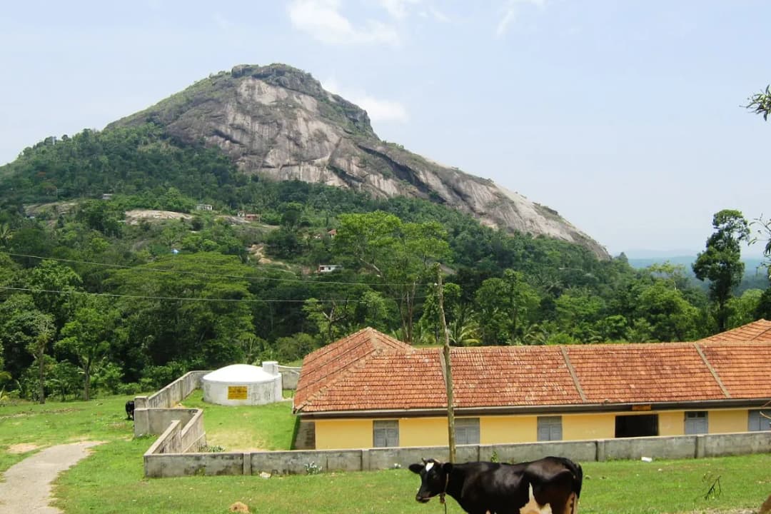 Ambalavayal Village