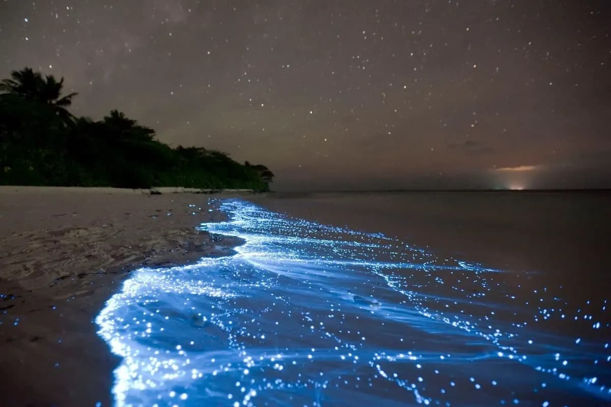 Maldives Glowing Beach