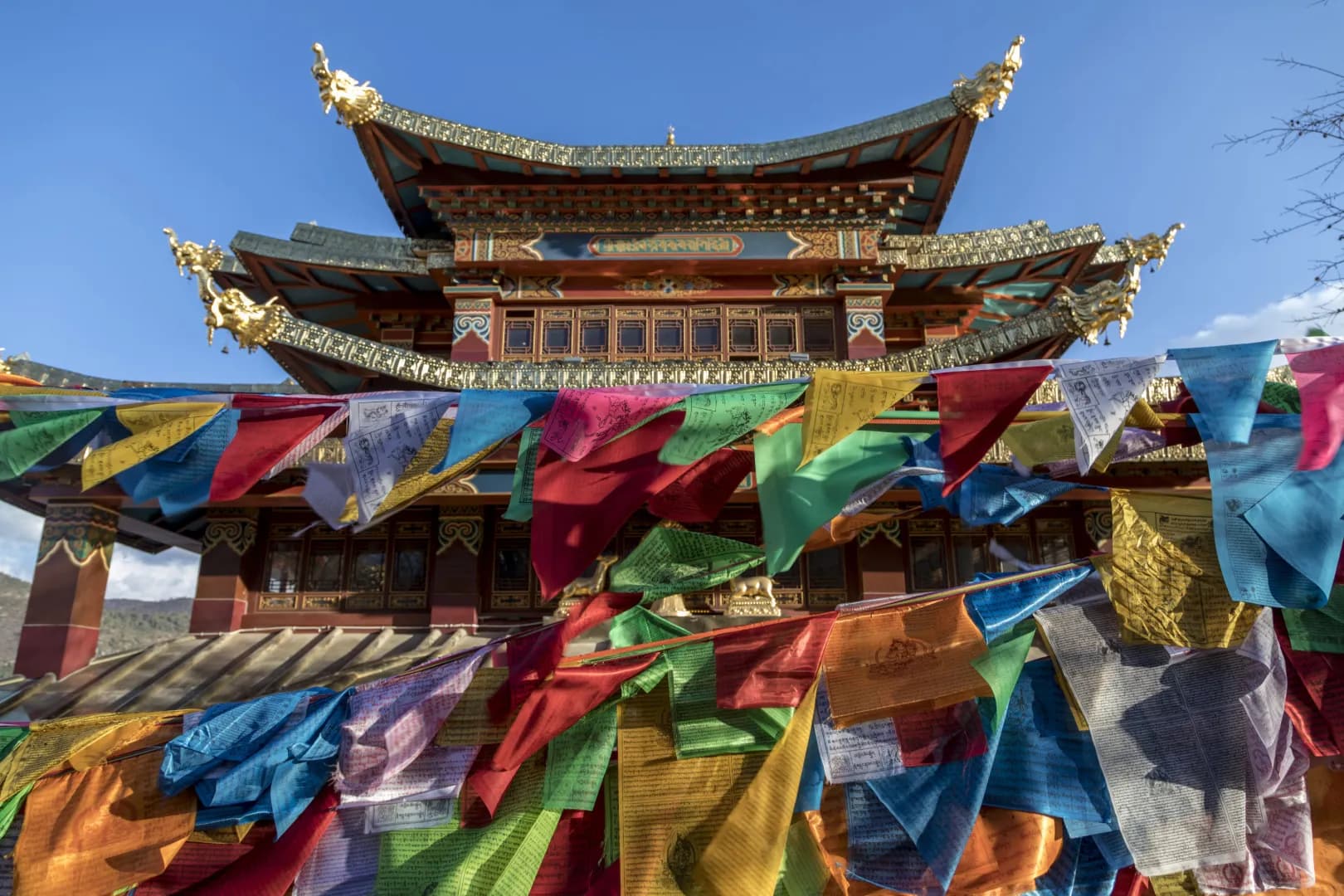 Exploring the Best of Bhutan - Paro & Thimphu
