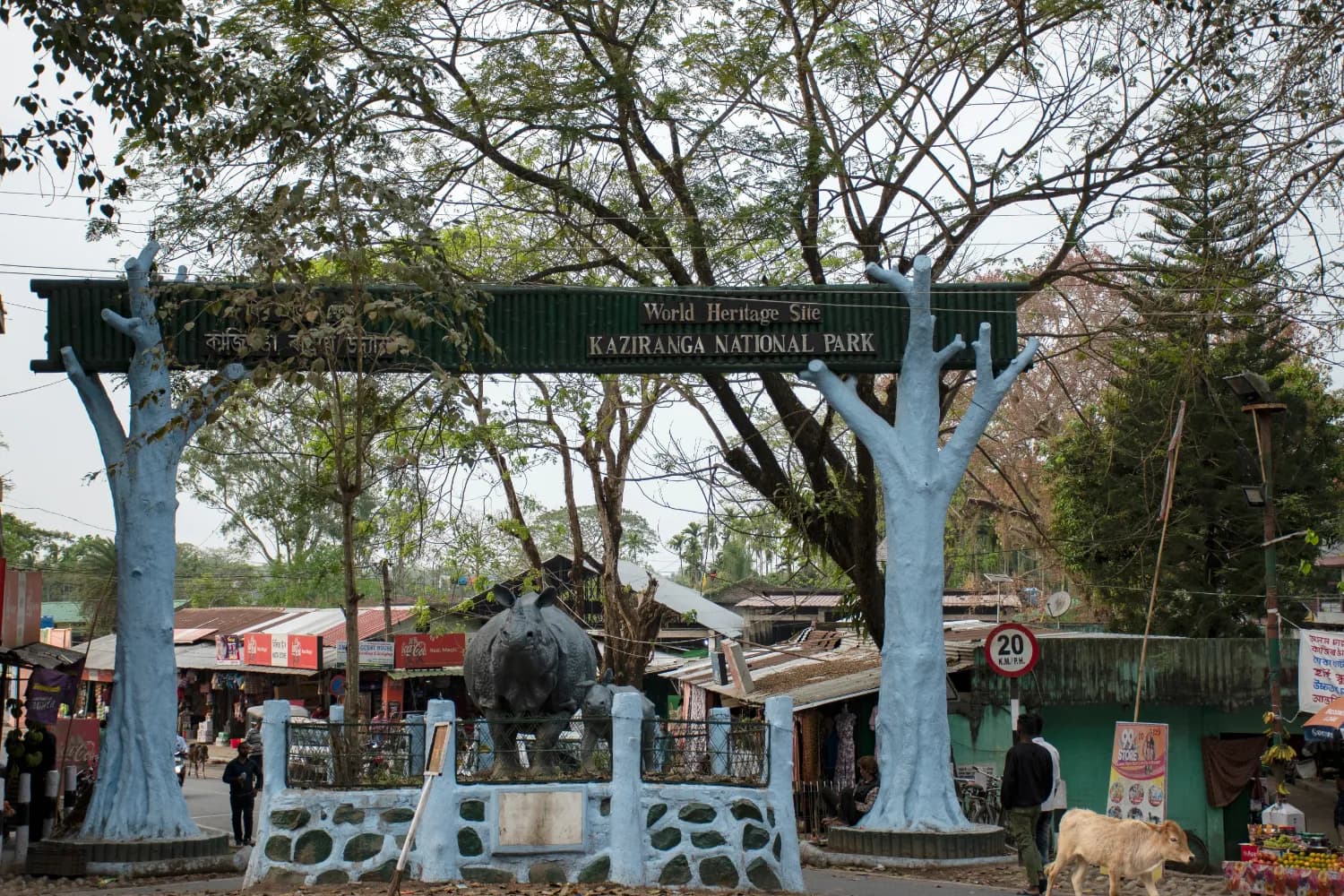 Kaziranga National Park