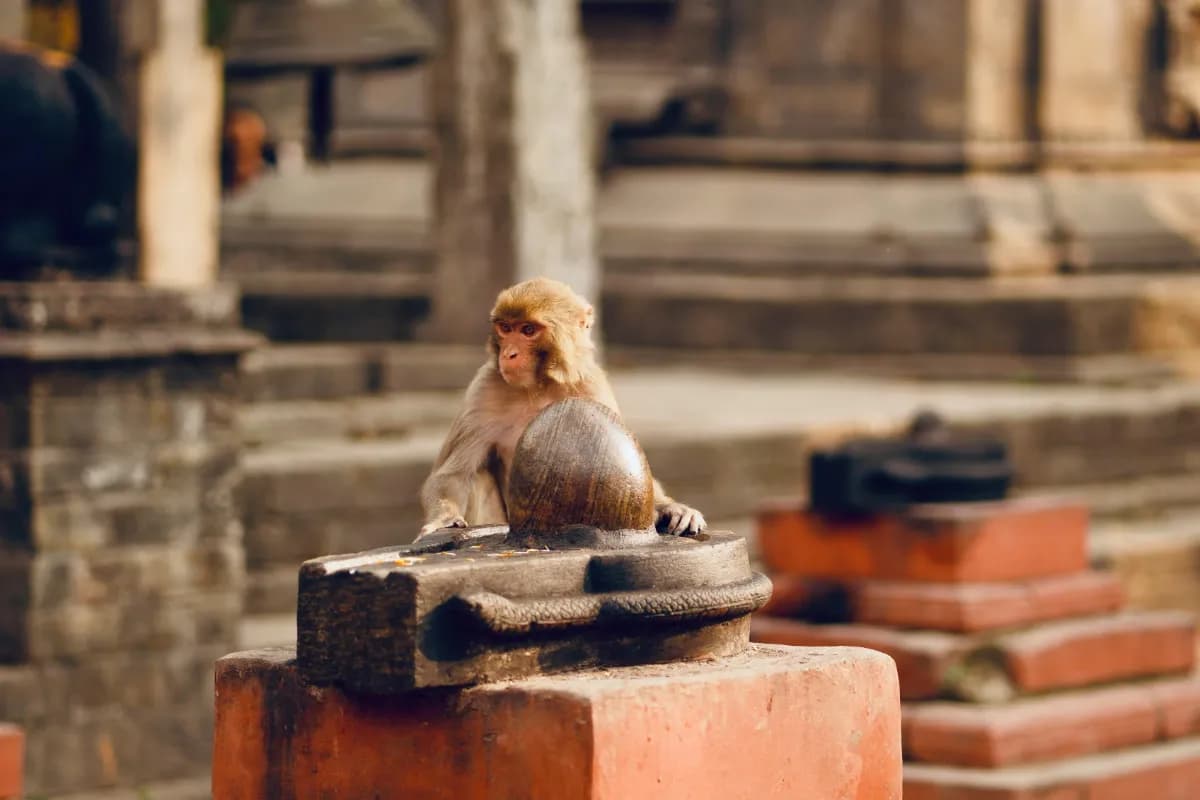 Hanuman Chatti