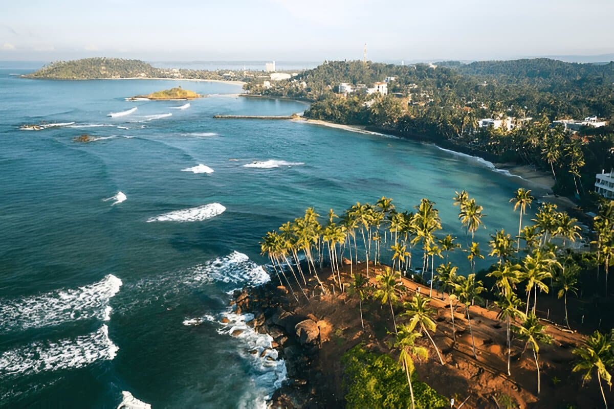 Coconut Tree Hill