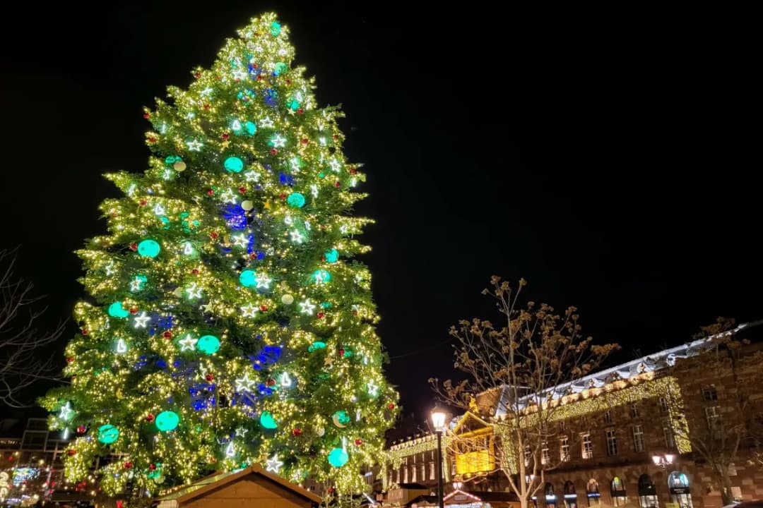 Giant Christmas Tree