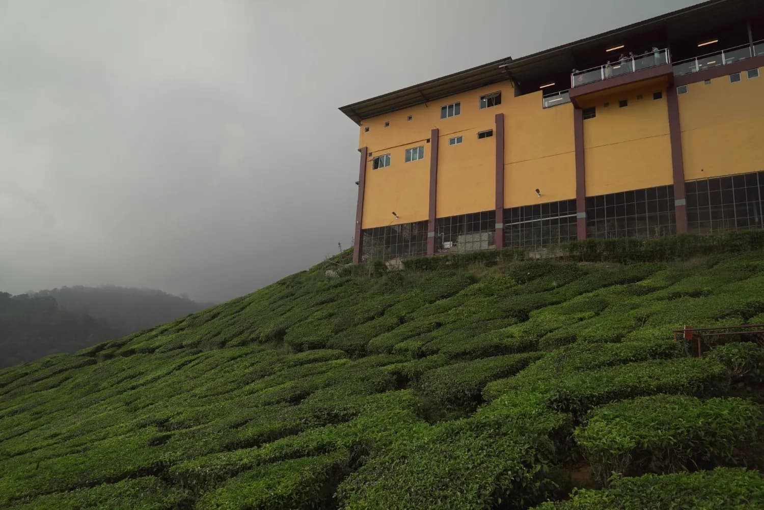 Kerala Eco Adventure