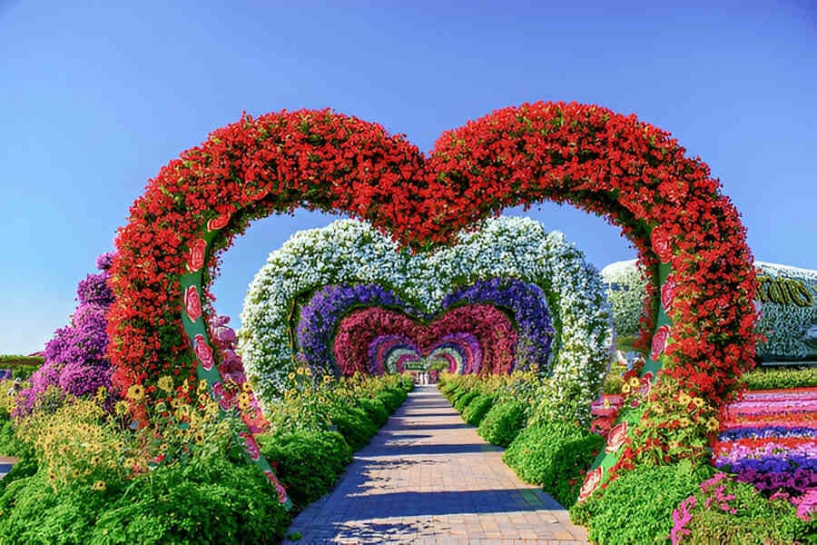 Dubai Miracle Garden