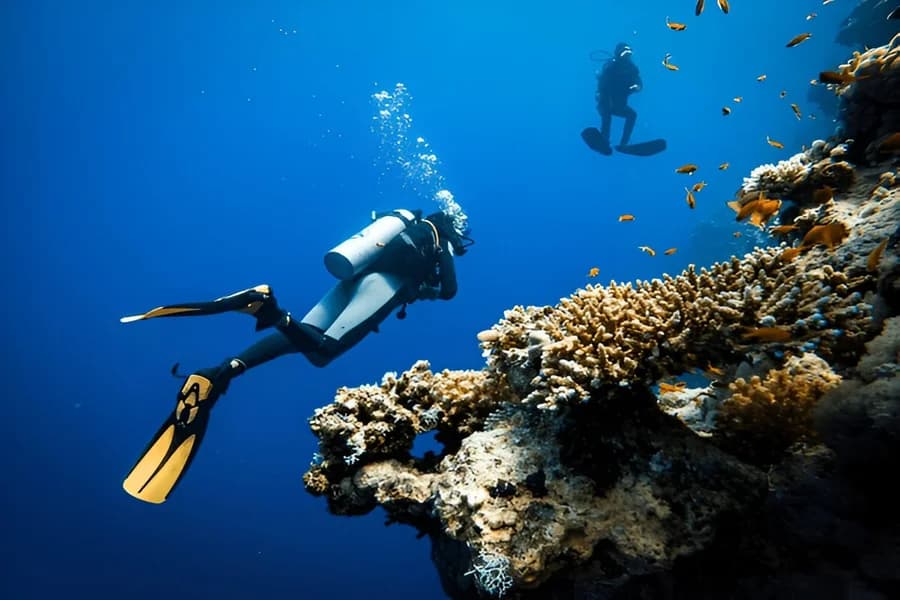 Special Activities in Lakshadweep in May