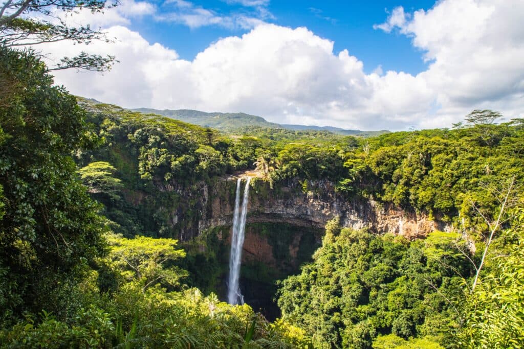 Experience Untouched Nature Through Amazon Rainforest Tours