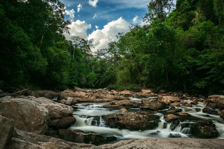 Adventure Awaits in Taman Negara National Park