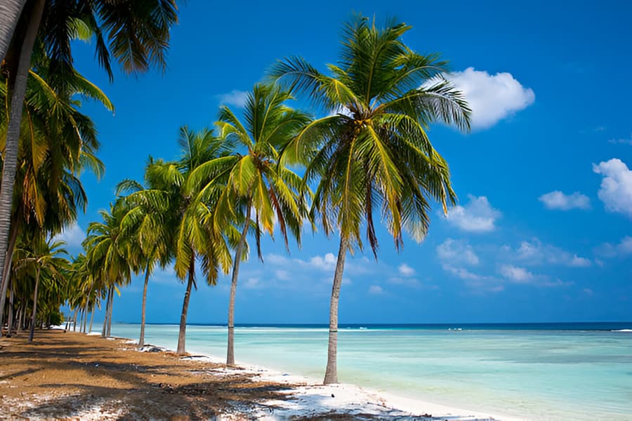 Lakshadweep in October: The Secret Season No One Talks About