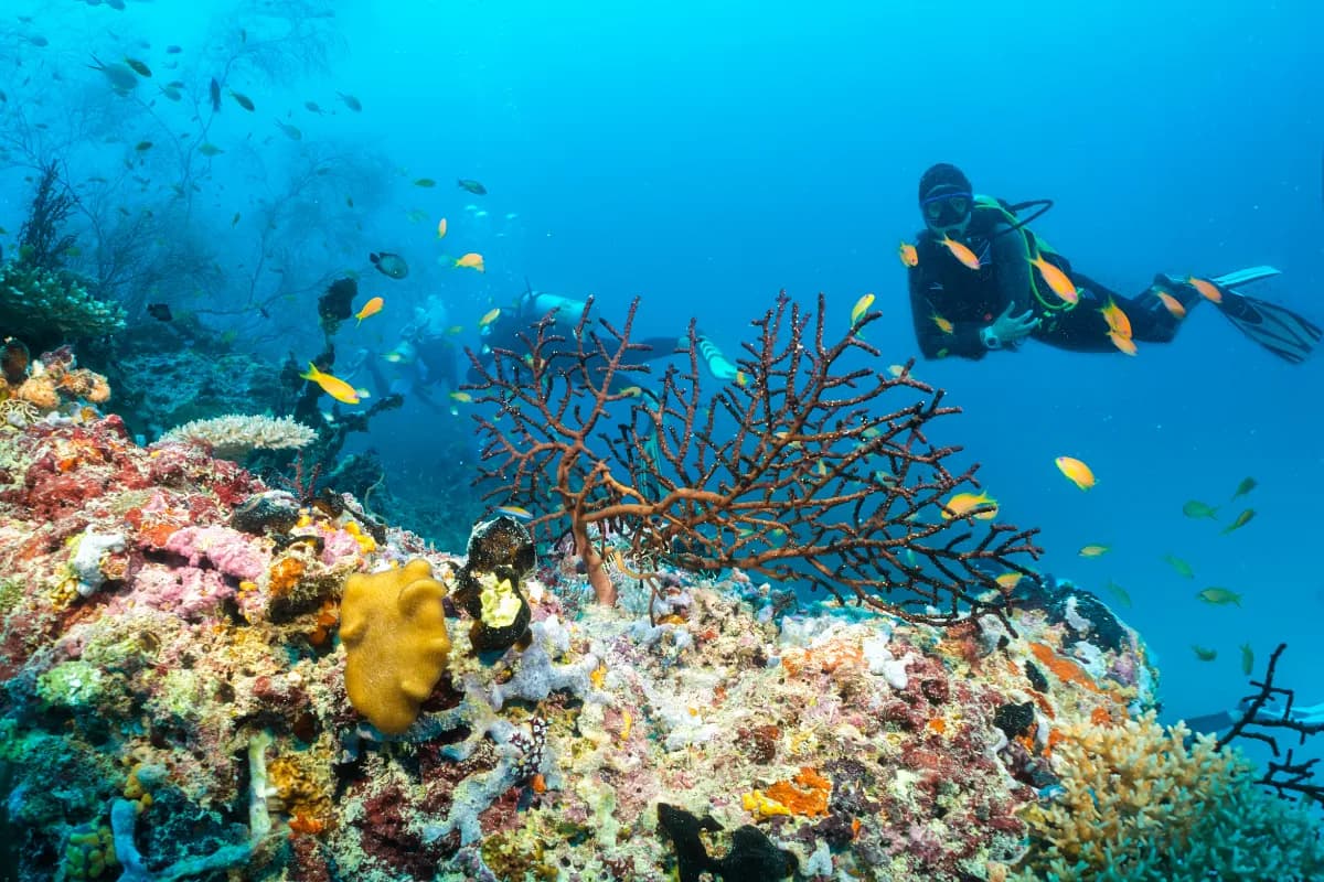 Scuba Diving in Goa
