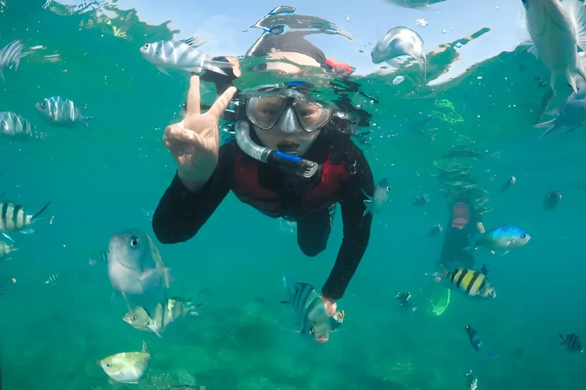 Coral Reefs & Snorkeling