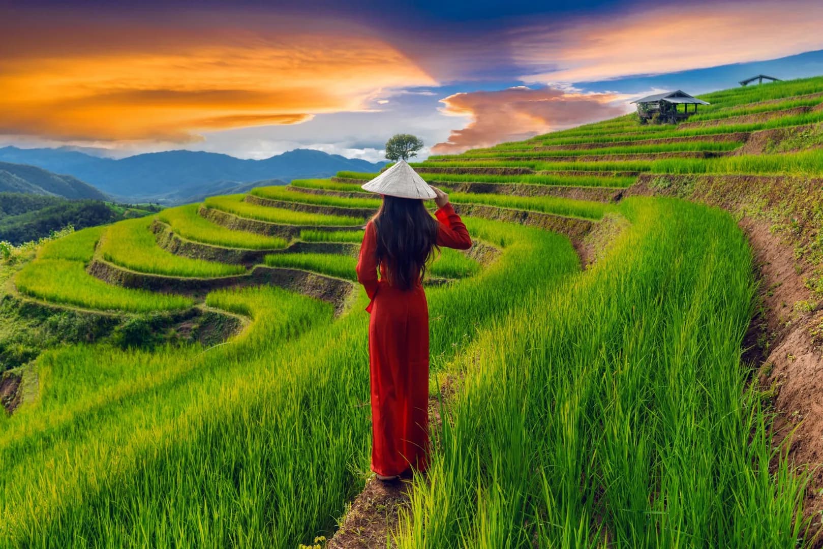 Northern Vietnam Wonders