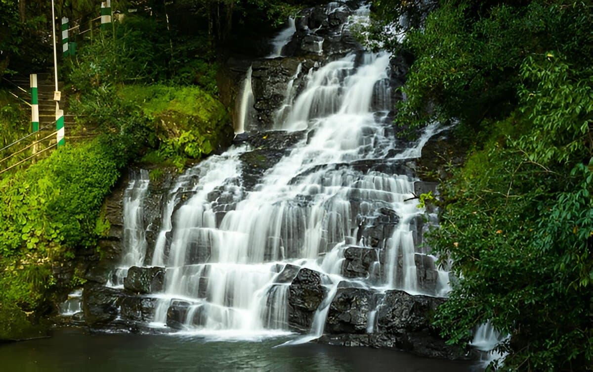 Assam and Meghalaya