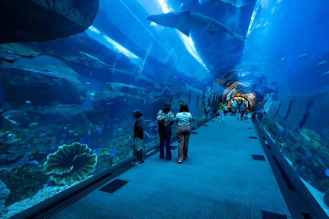 Dubai Aquarium