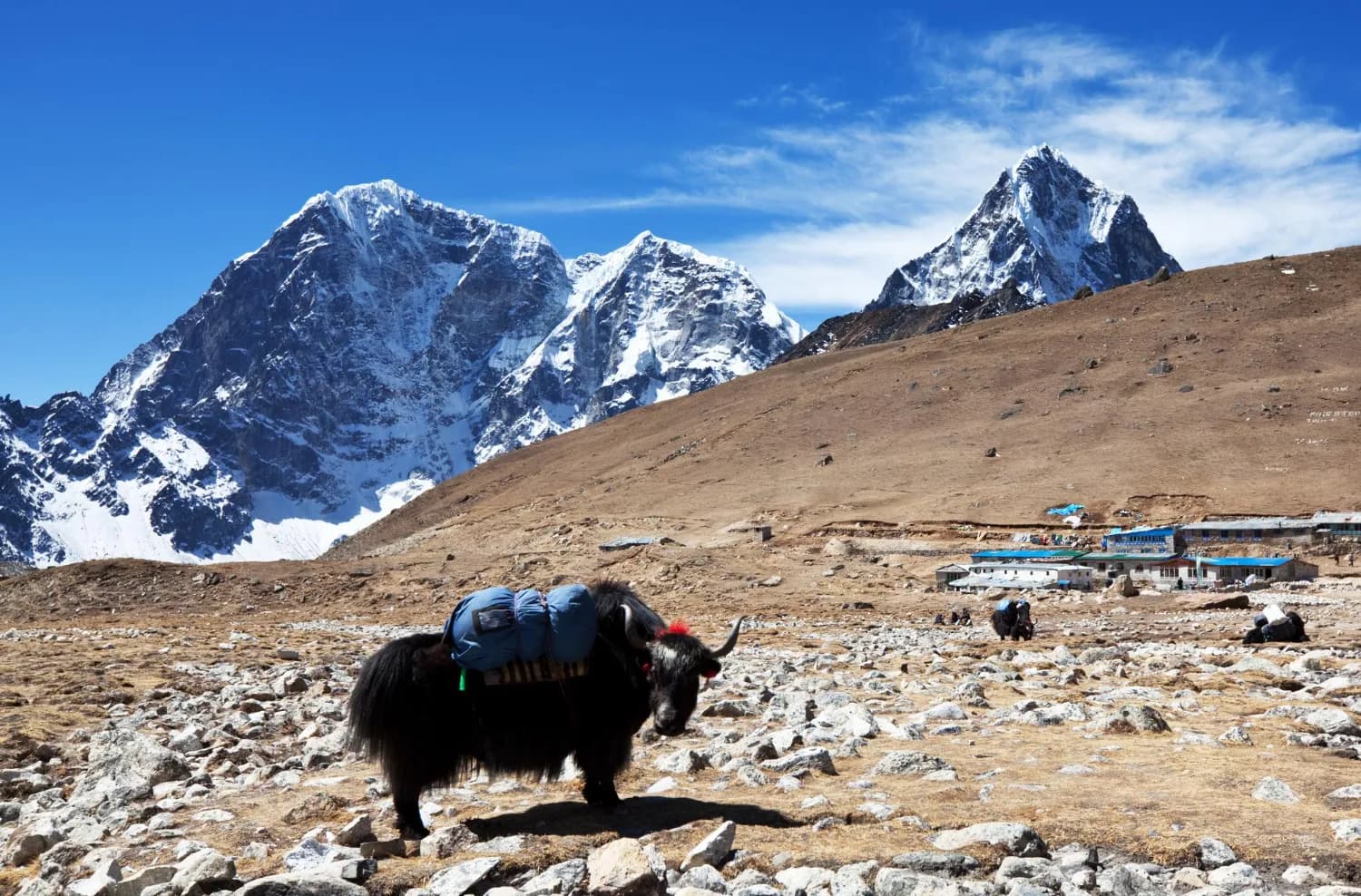 Nepal